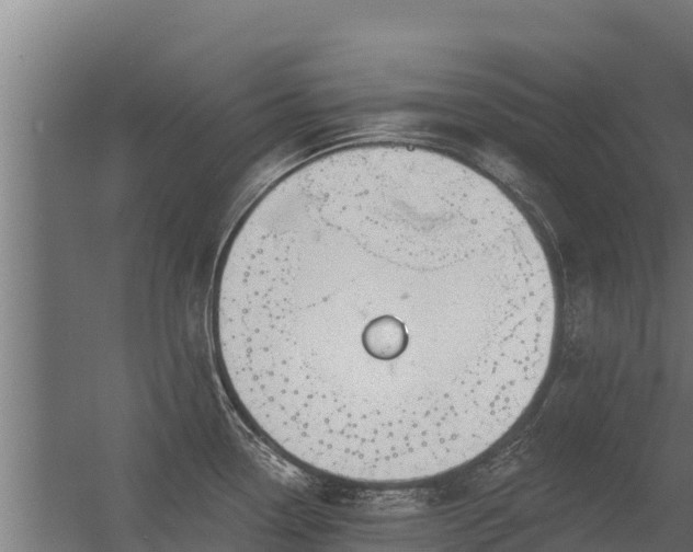 X0000056351338200509021712