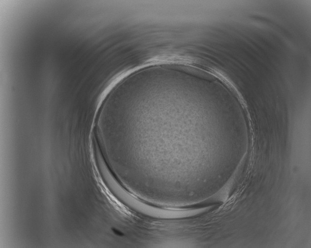 X0000056351344200509021712