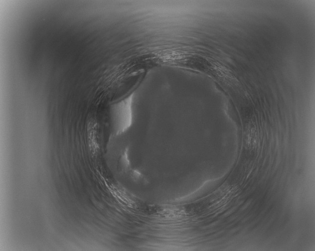 X0000056351346200509021711