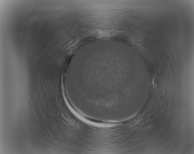 X0000056351348200509021711