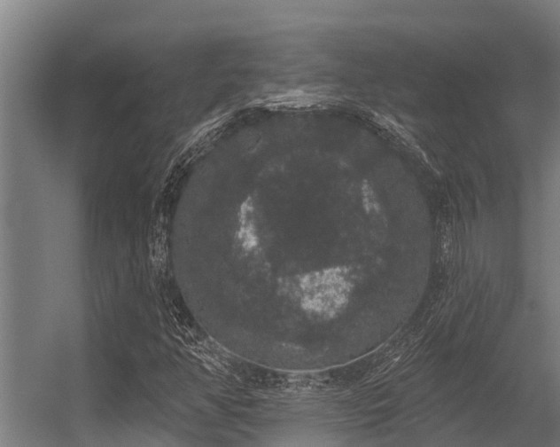 X0000056351350200509021711