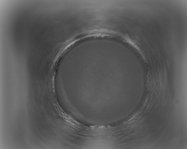 X0000056351352200509021711