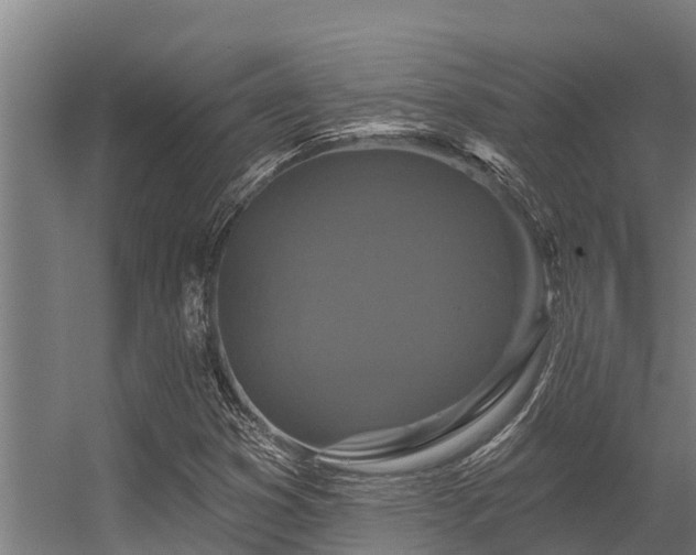 X0000056351353200509021711