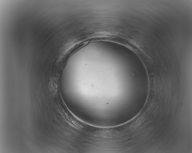 X0000056351355200509021711