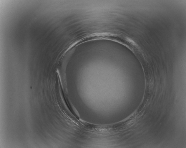 X0000056351361200509021711