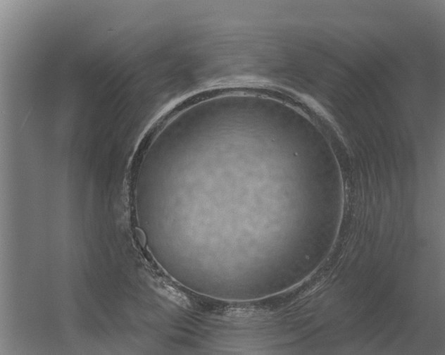 X0000056351364200509021711