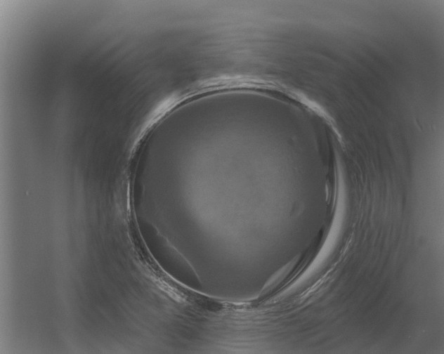 X0000056351365200509021711