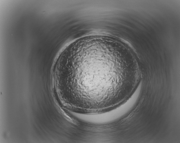 X0000056351371200509021711