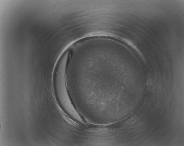 X0000056351372200509021710