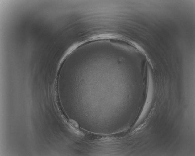 X0000056351373200509021710