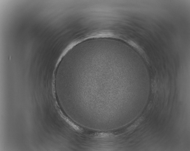 X0000056351374200509021710