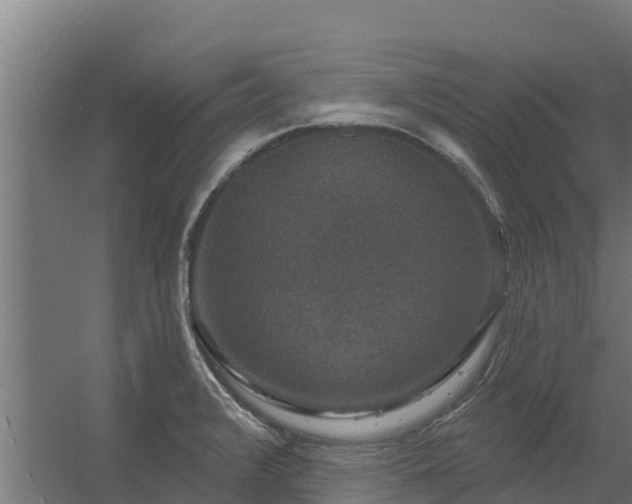 X0000056351376200509021710