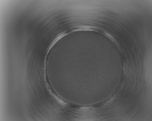 X0000056351378200509021710