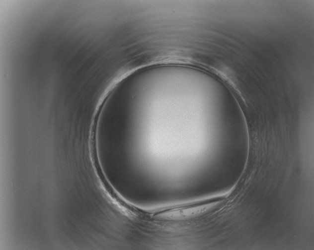 X0000056351379200509021710