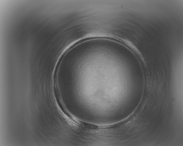 X0000056351380200509021710