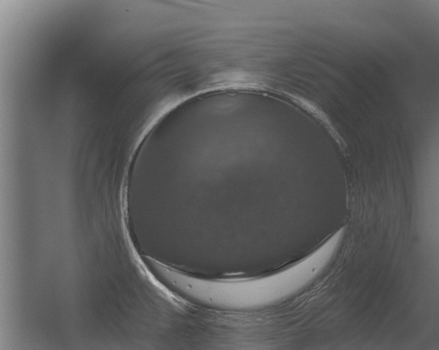 X0000056351383200509021710