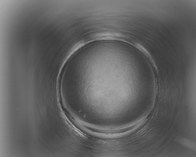 X0000056351384200509021710