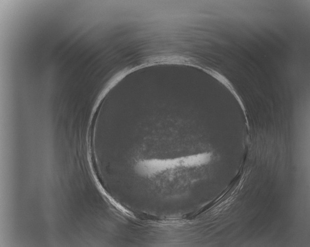 X0000056351389200509021710