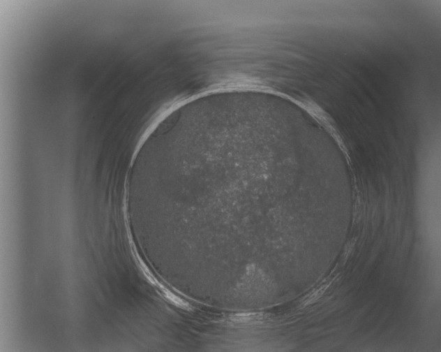 X0000056351390200509021710