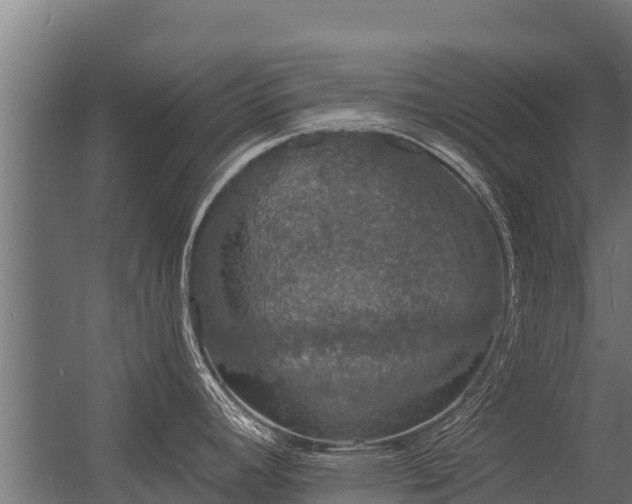 X0000056351392200509021710