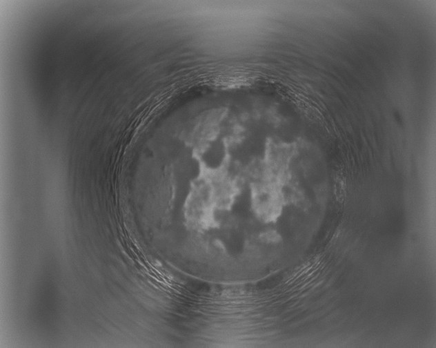 X0000056351393200509021709