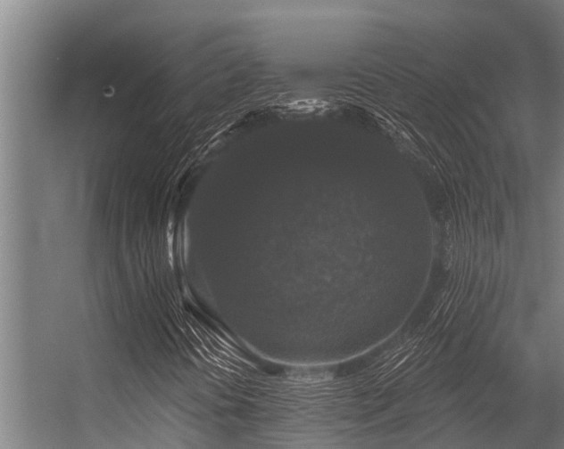 X0000056351394200509021709