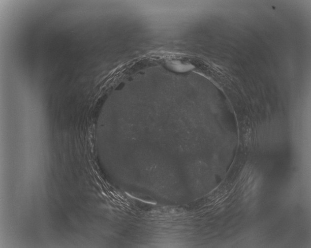 X0000056351397200509021709