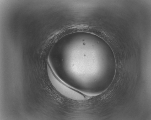 X0000056351398200509021709