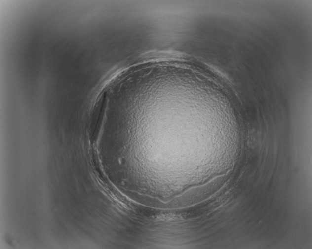 X0000056351407200509021710