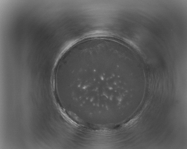 X0000056351413200509021710