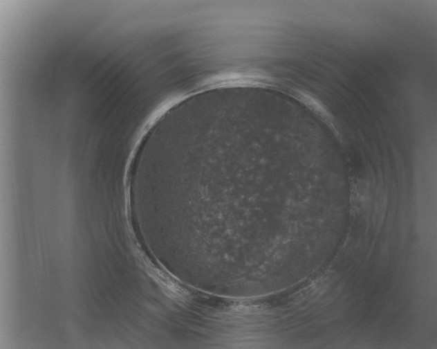 X0000056351419200509021710