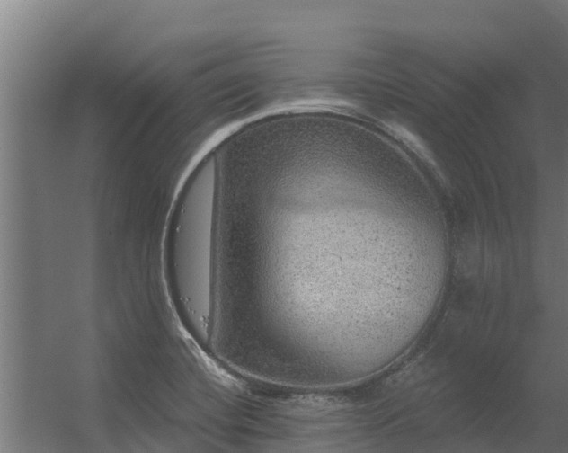 X0000056351420200509021710