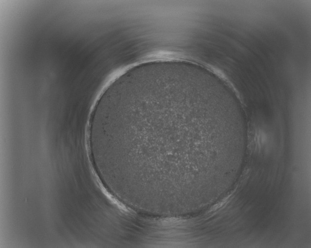 X0000056351421200509021710