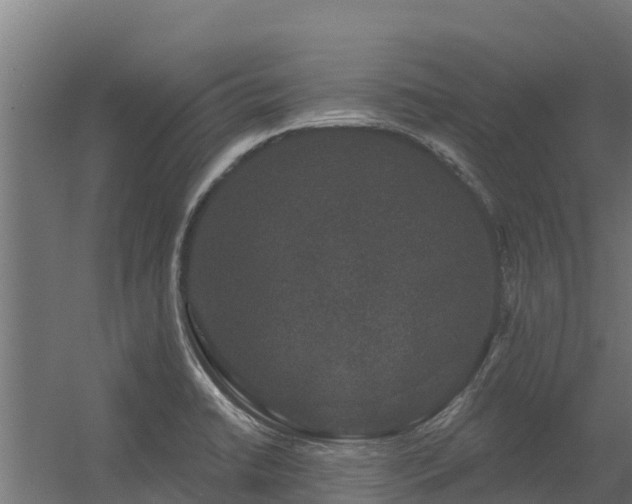 X0000056351422200509021710