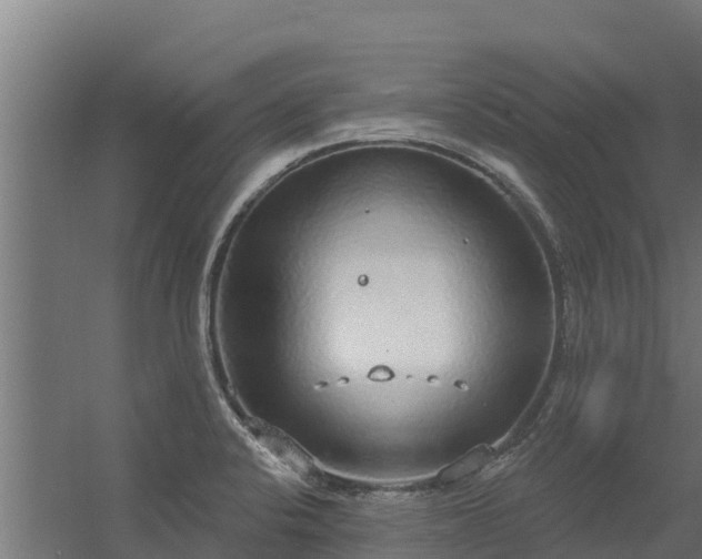 X0000056351424200509021710