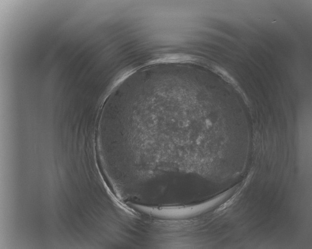 X0000056351425200509021710