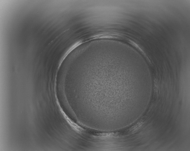 X0000056351426200509021710