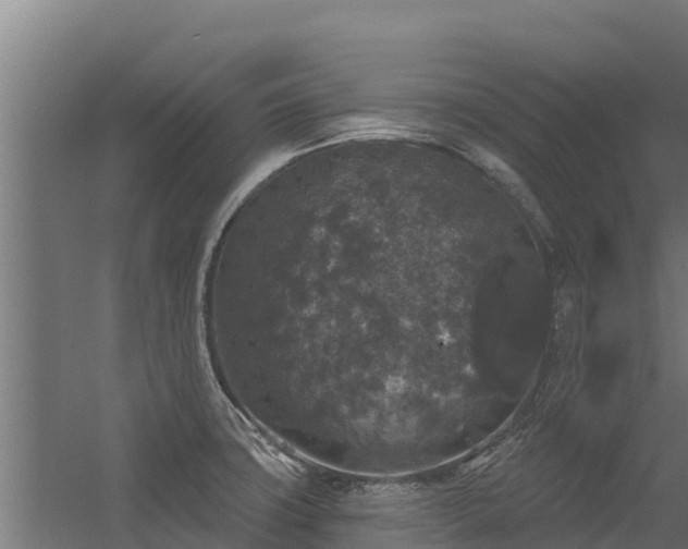 X0000056351427200509021710