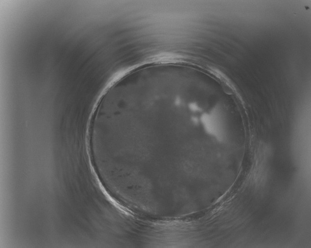 X0000056351429200509021710