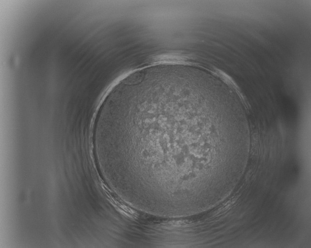 X0000056351435200509021710