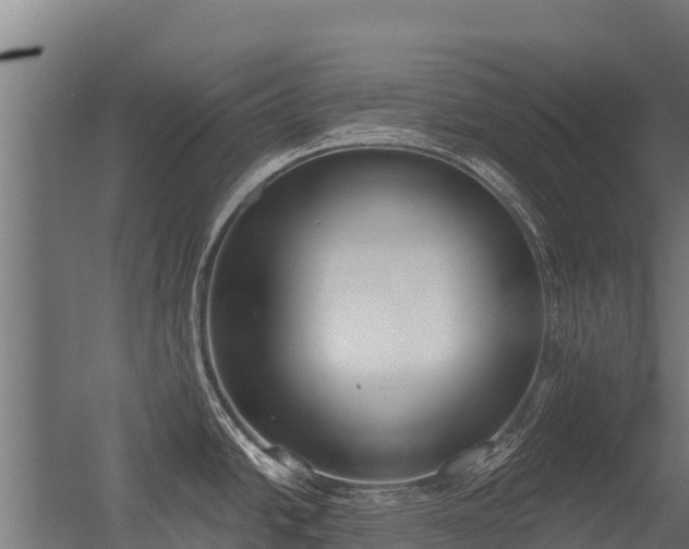 X0000056351438200509021710