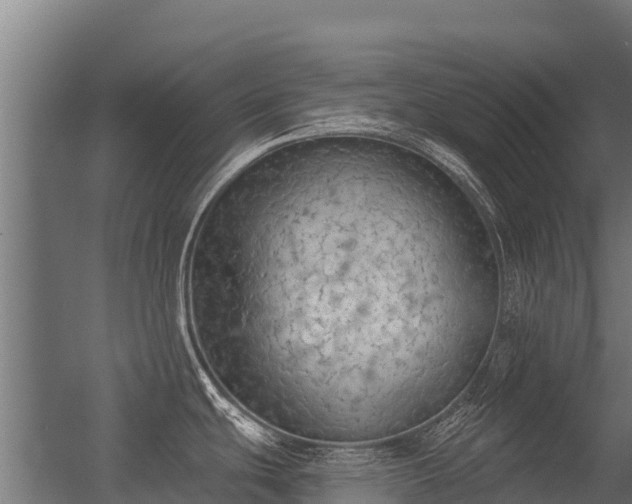 X0000056351439200509021710