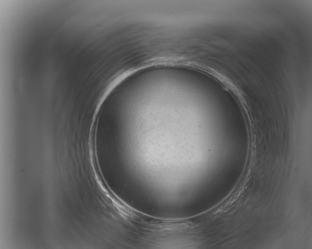 X0000056351440200509021710