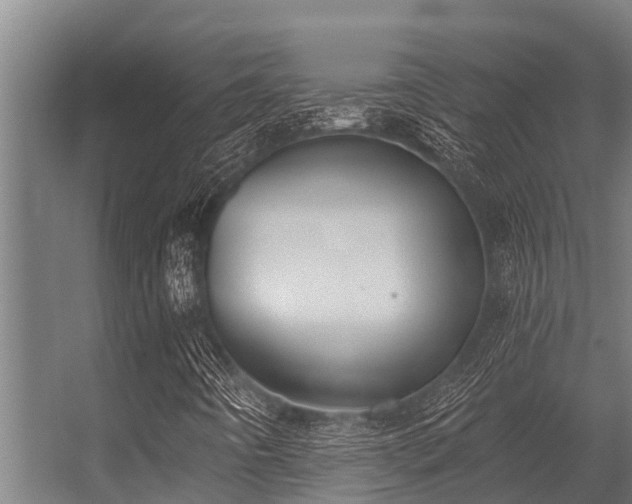 X0000056351442200509021709