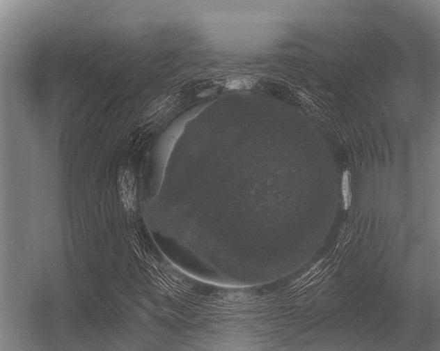 X0000056351443200509021709