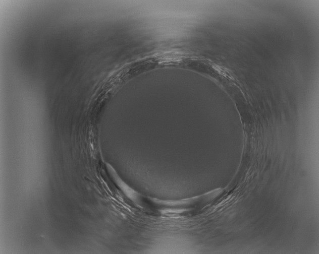 X0000056351445200509021709