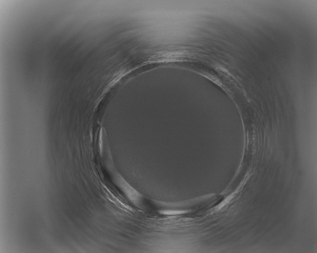 X0000056351449200509021709