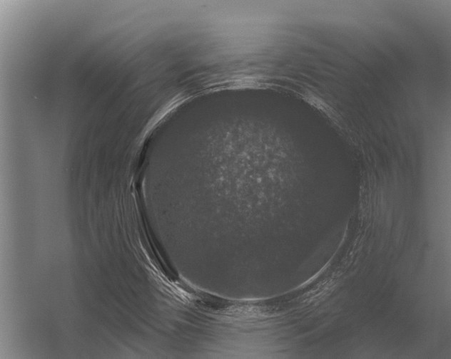 X0000056351450200509021709