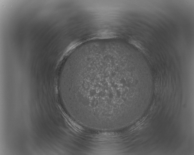 X0000056351451200509021709