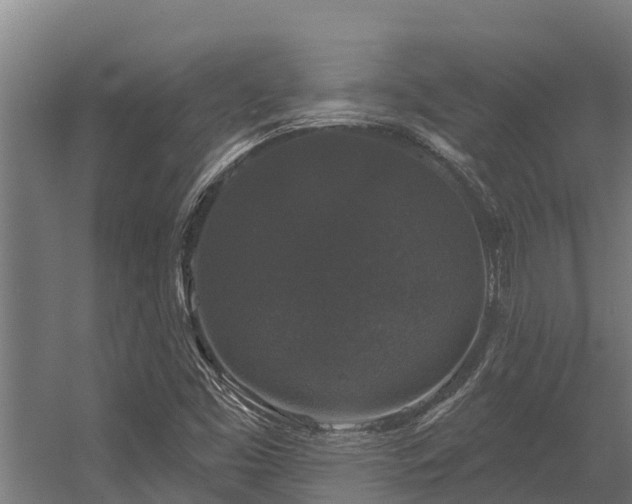 X0000056351453200509021709